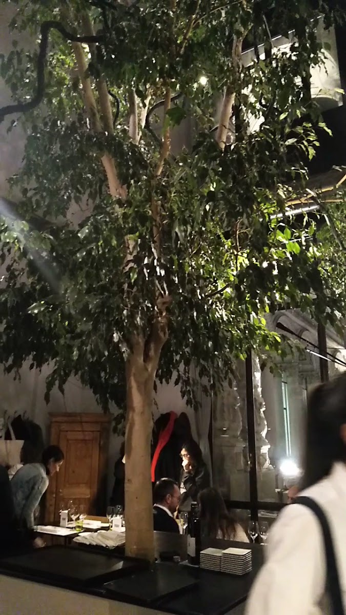 Niko Romito Space Milan — photo 3