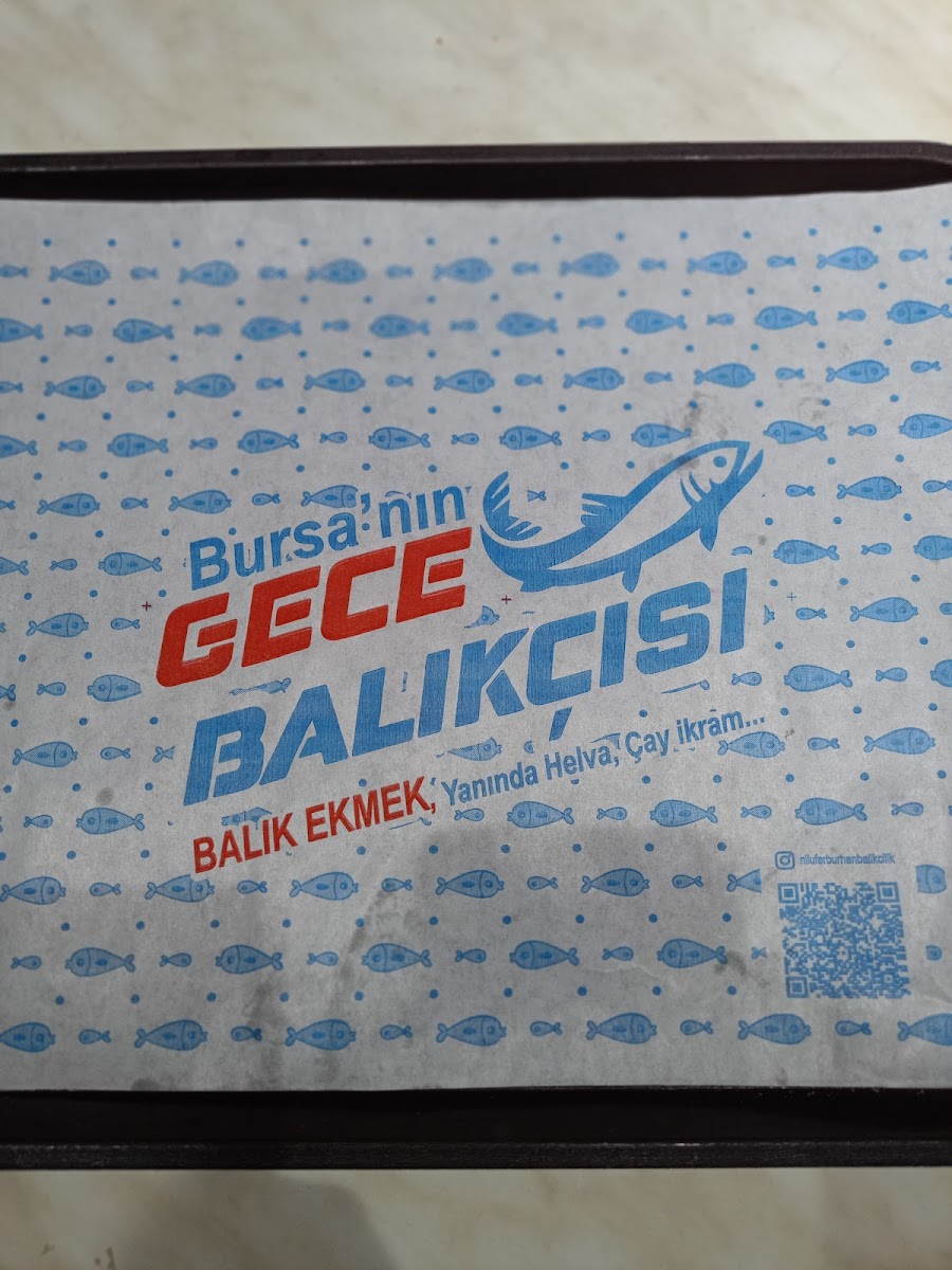 Nilüfer Burhan Balıkçılık — fotoğraf 4