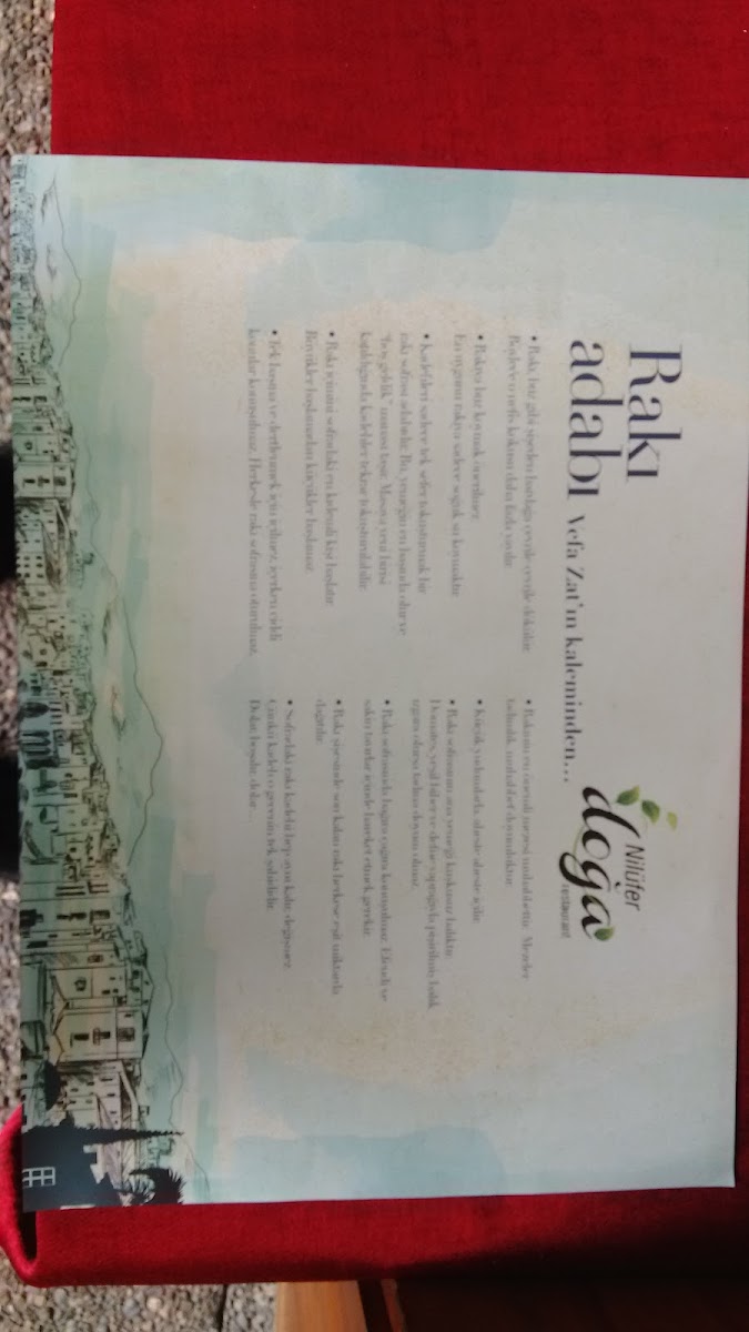 Nilüfer Doğa Restaurant — fotoğraf 4