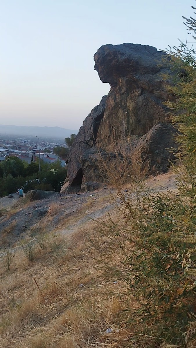 Niobe Ağlayan Kaya — fotoğraf 3