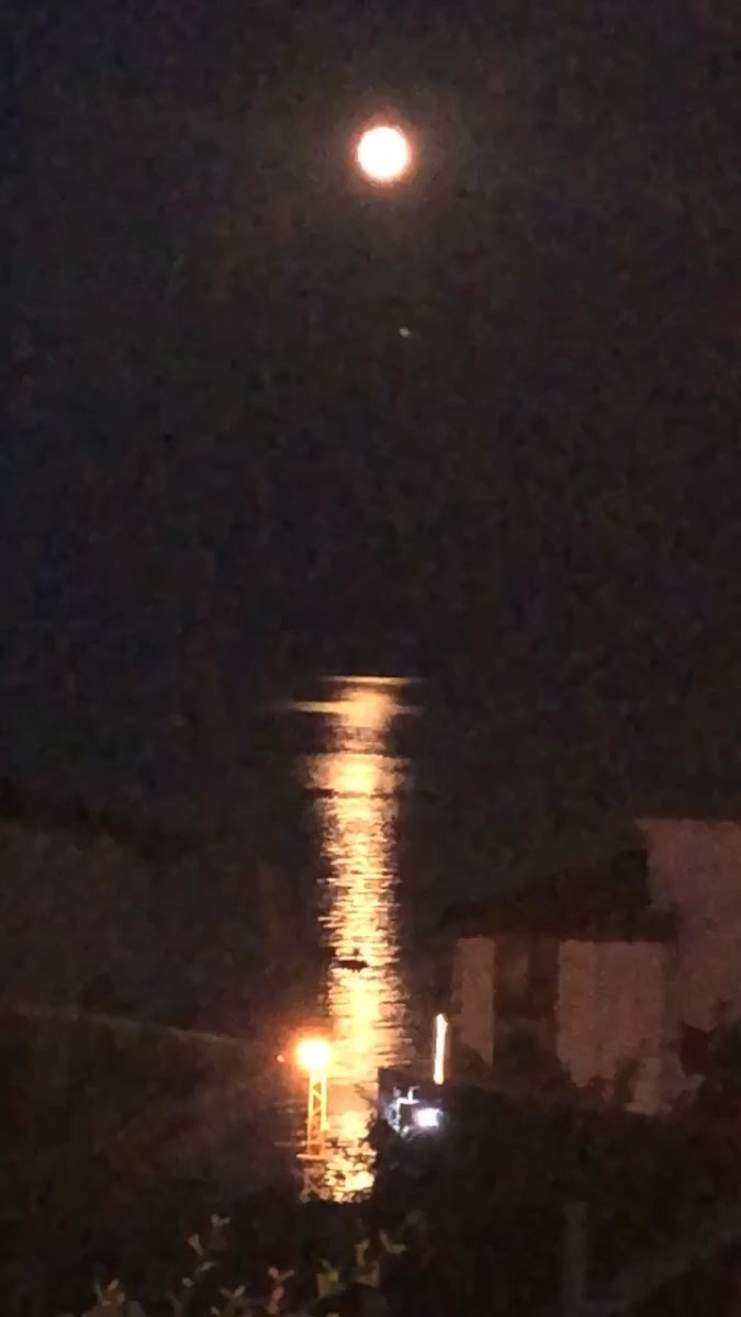 No57 Suites — fotoğraf 3