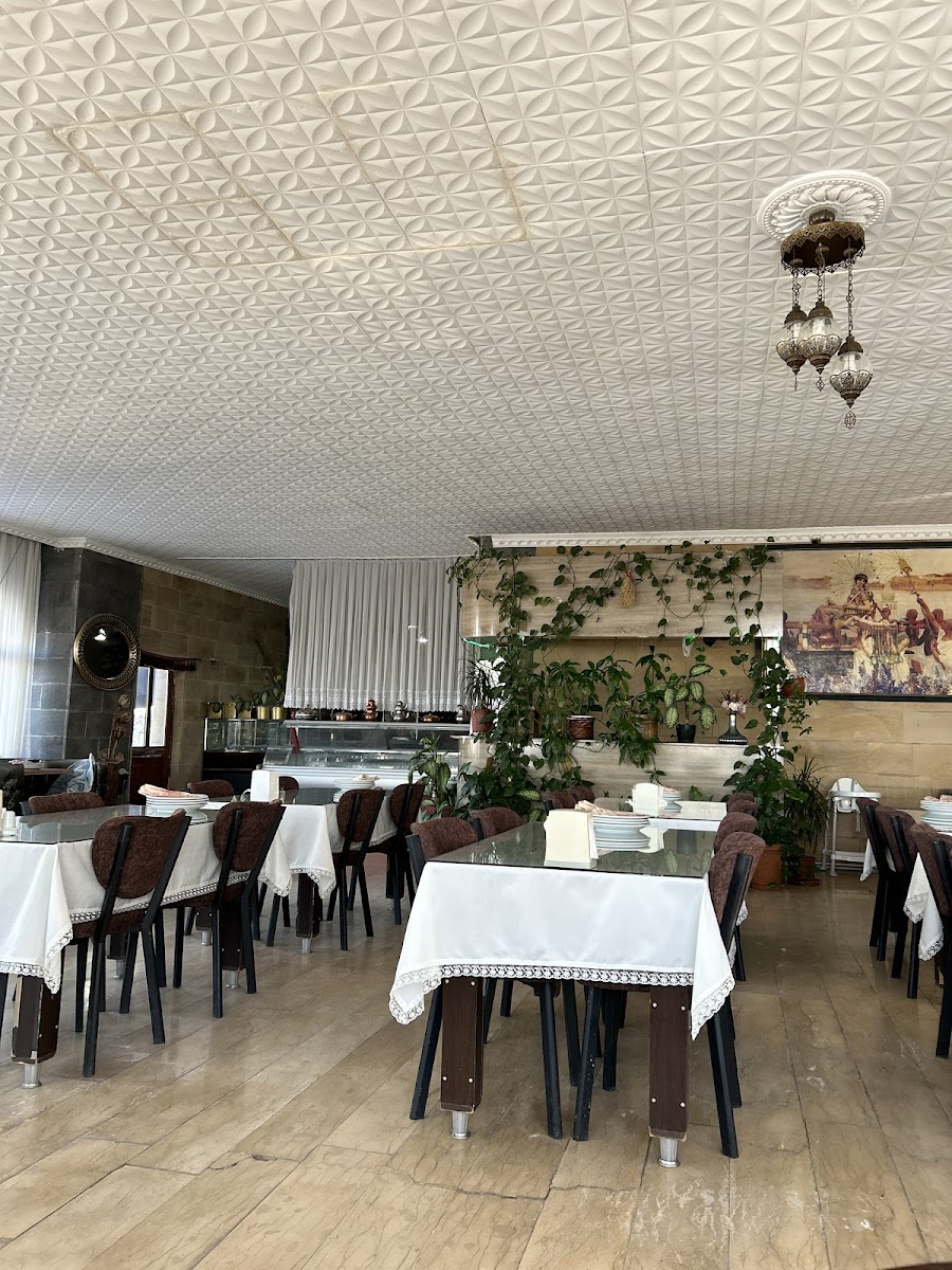 Noah Restaurant&cafe — fotoğraf 4
