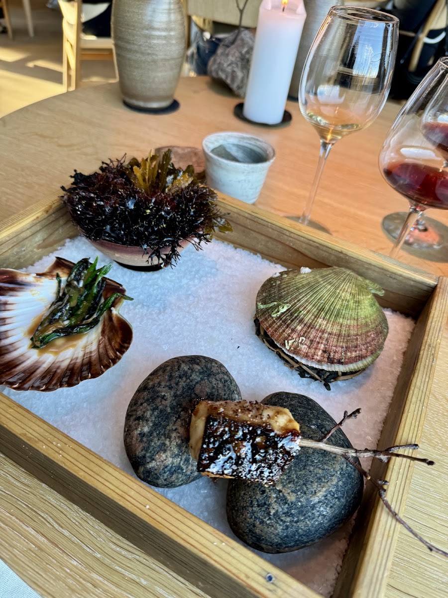 Noma — photo 5