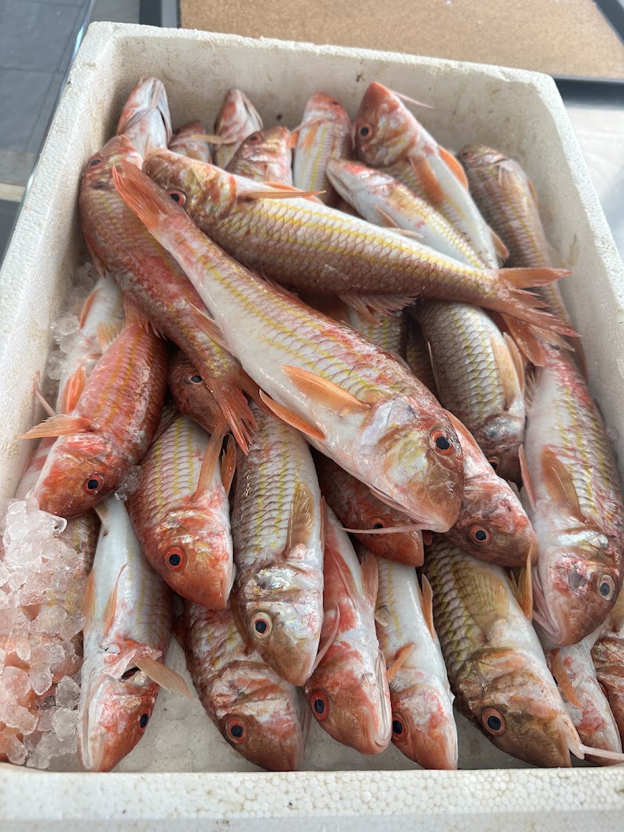 Nostimi Thalassa — photo 11