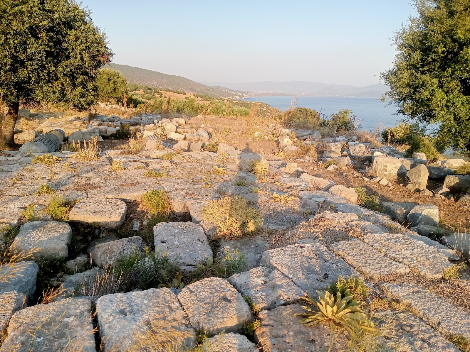 Notion Antik Kenti — photo 2