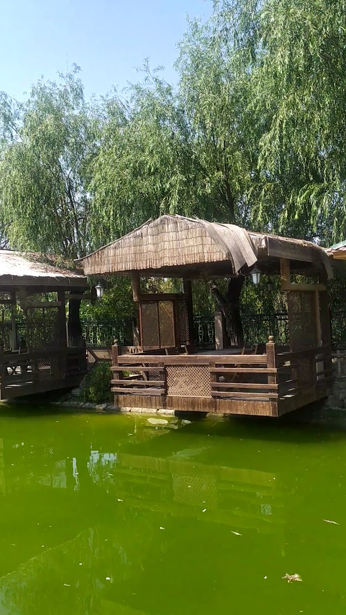 NUH YURDU RESTORANI — fotoğraf 3