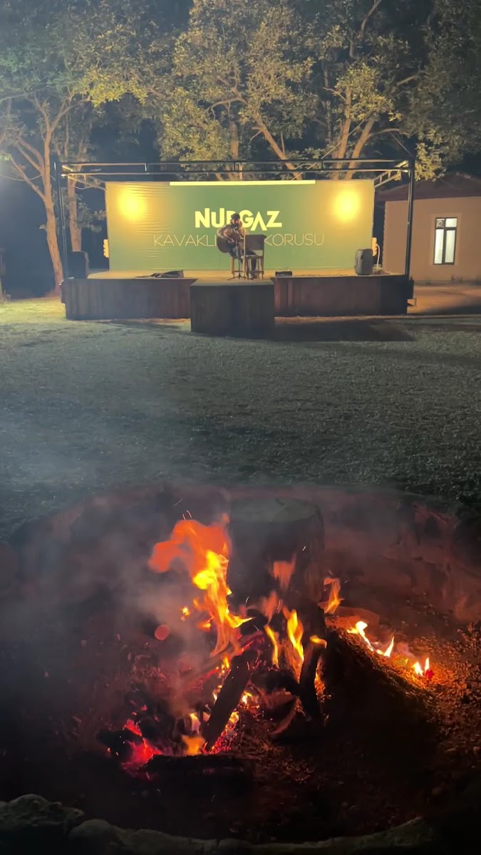 Nurgaz Kavaklı Meşe Korusu Milli Parkı — fotoğraf 3