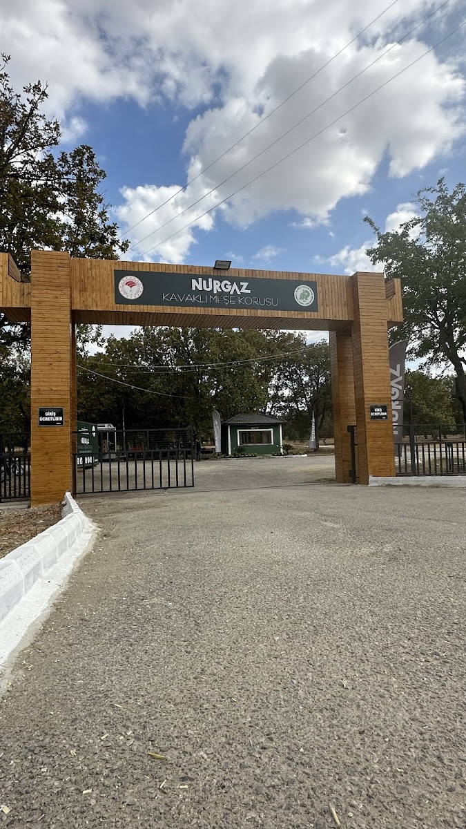Nurgaz Kavaklı Meşe Korusu Milli Parkı — fotoğraf 5