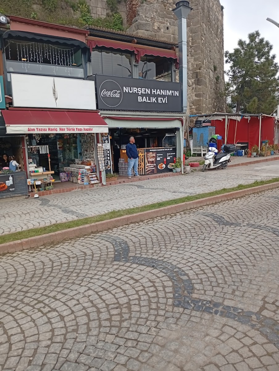 Nurşen Hanım'ın Yeri — fotoğraf 2