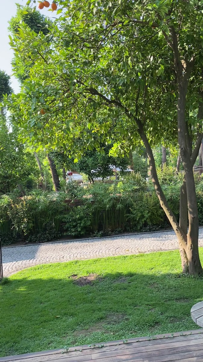 NUUP Hotel — fotoğraf 5