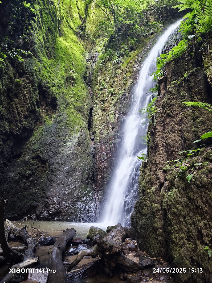 Nüzhetiye Şelalesi Trekking Parkuru — fotoğraf