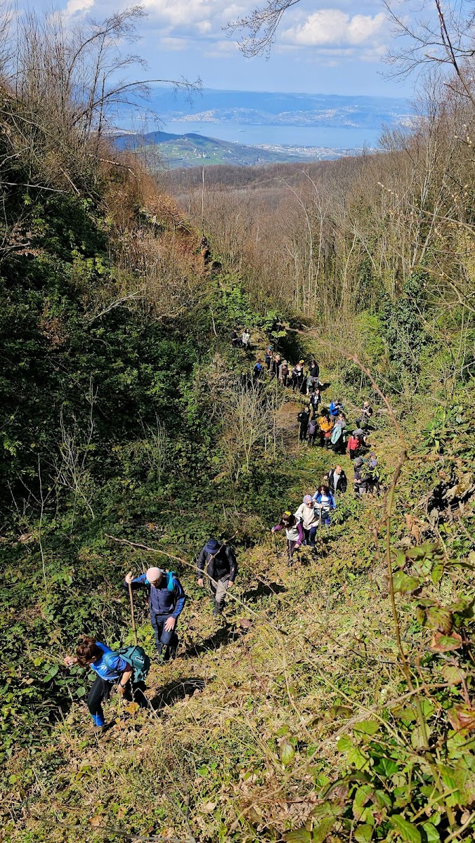 Nüzhetiye Şelalesi Trekking Parkuru — fotoğraf 2