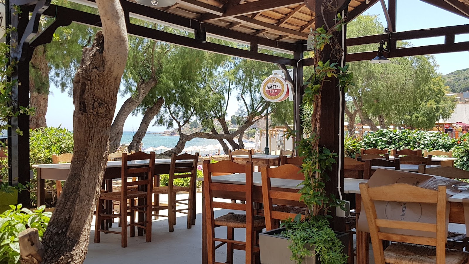 OASIS cafe bar restaurant — photo