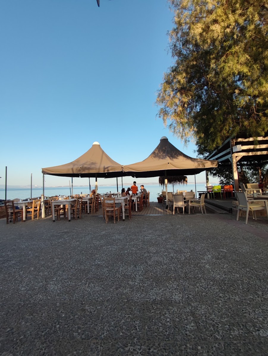 OASIS cafe bar restaurant — photo 11