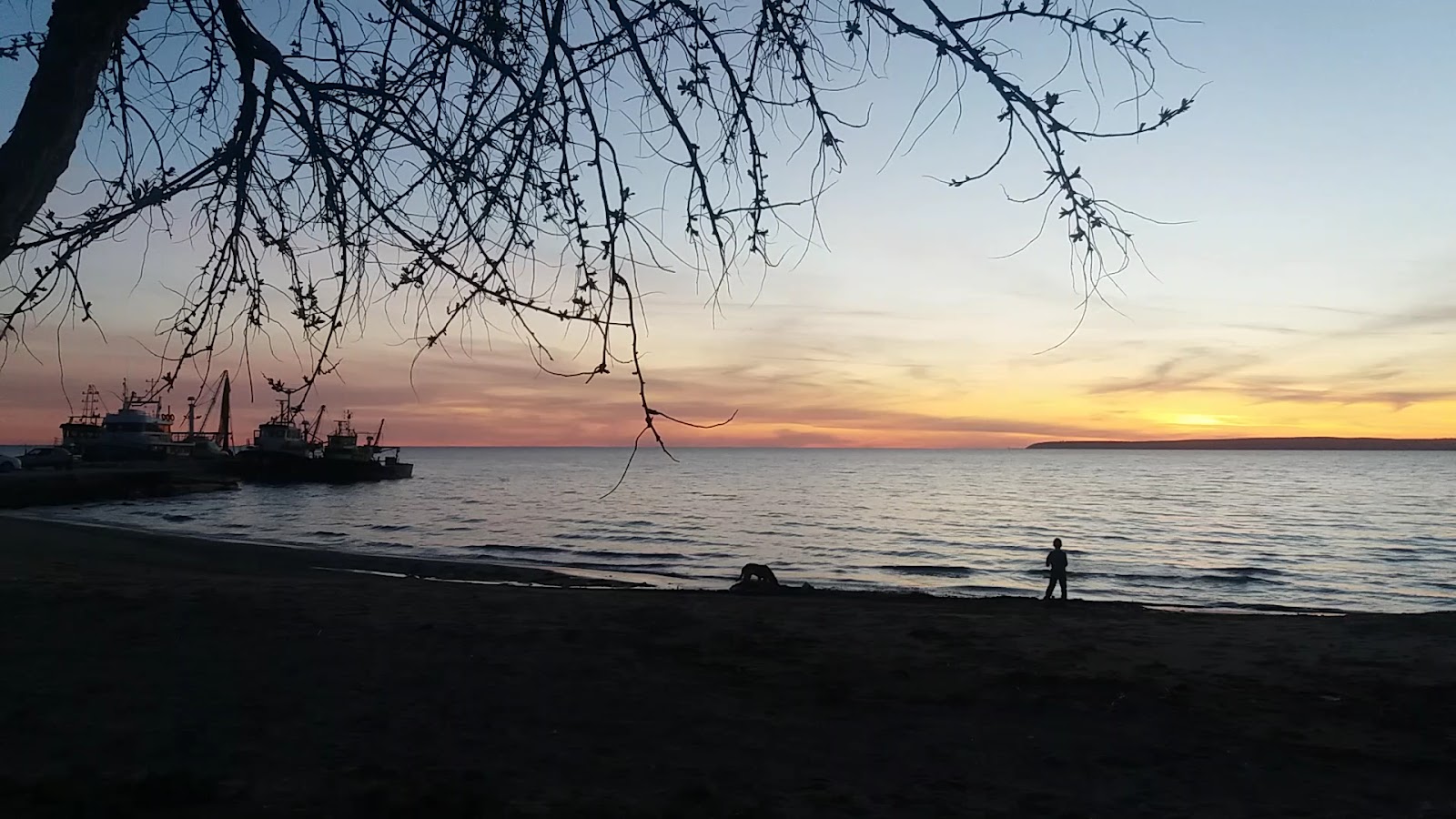 Odunluk İskelesi — fotoğraf 4