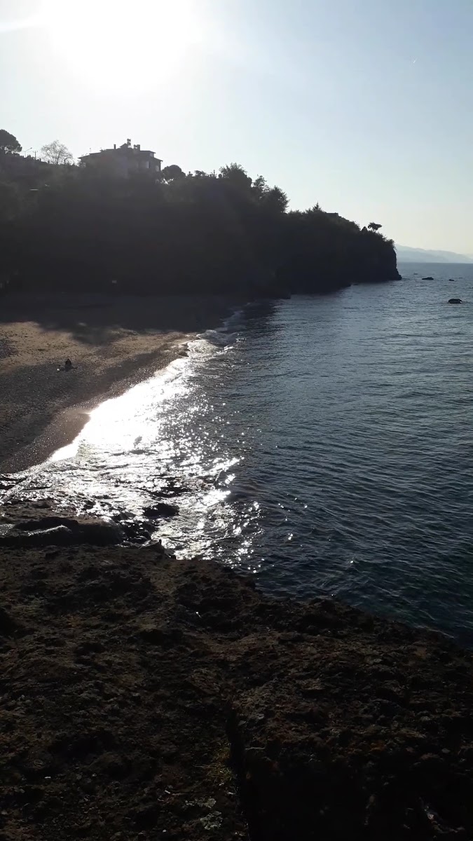 Ofran Restaurant — fotoğraf 3