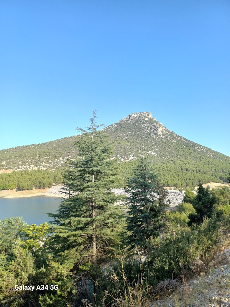 Bucak Oğuzhan kent ormanı — fotoğraf