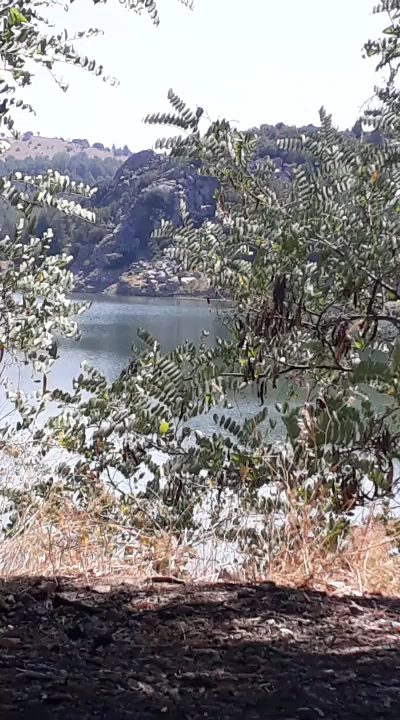 Bucak Oğuzhan kent ormanı — fotoğraf 3
