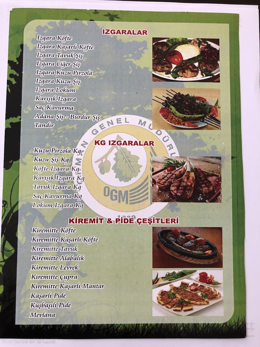 Oğuzhan Şehir Ormanı Restaurant — fotoğraf 4