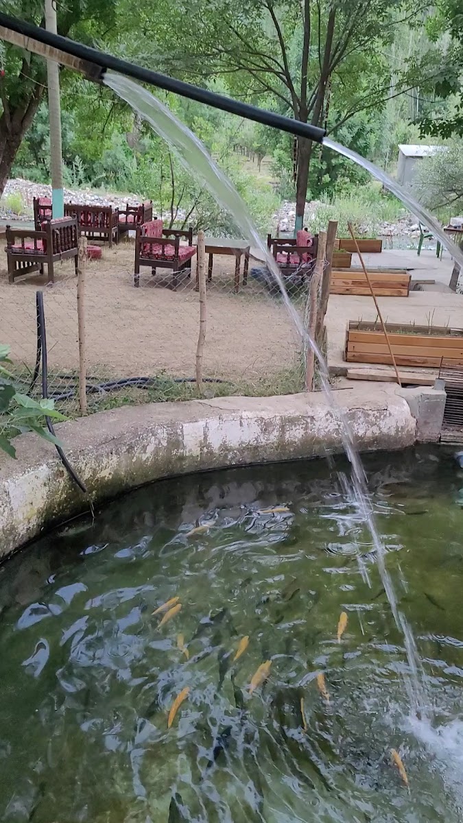 Oğuztürk Alabalık Tesisi — fotoğraf 2