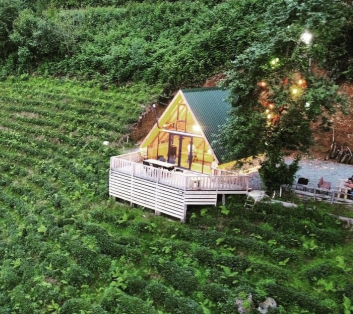 Okobale Dağ Evi — fotoğraf 5