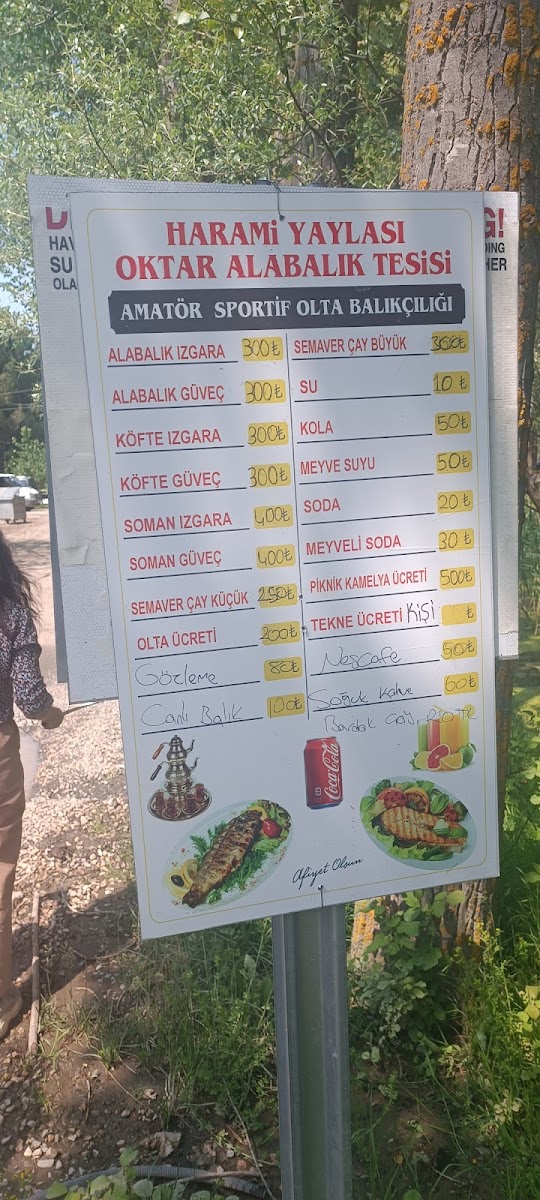 Oktar Alabalık Tesisi — fotoğraf 4