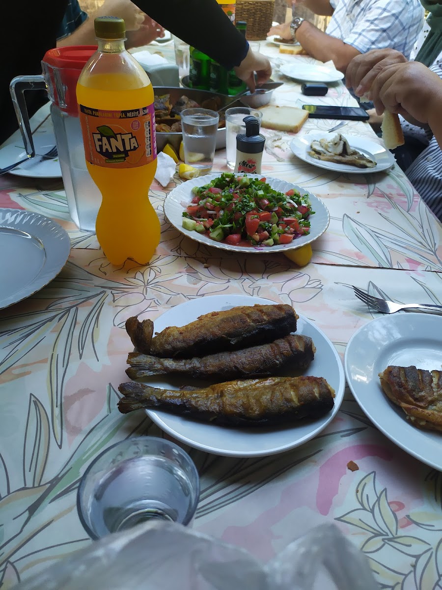 Okusal Alabalık Tesisleri & Restaurant — fotoğraf 2