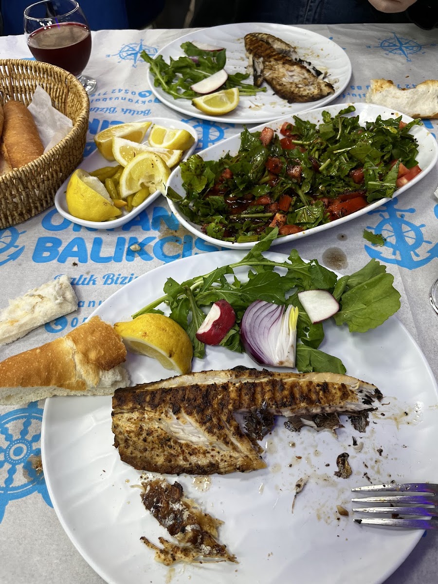 Okyanus Balikcisi Ş.urfa — fotoğraf 2