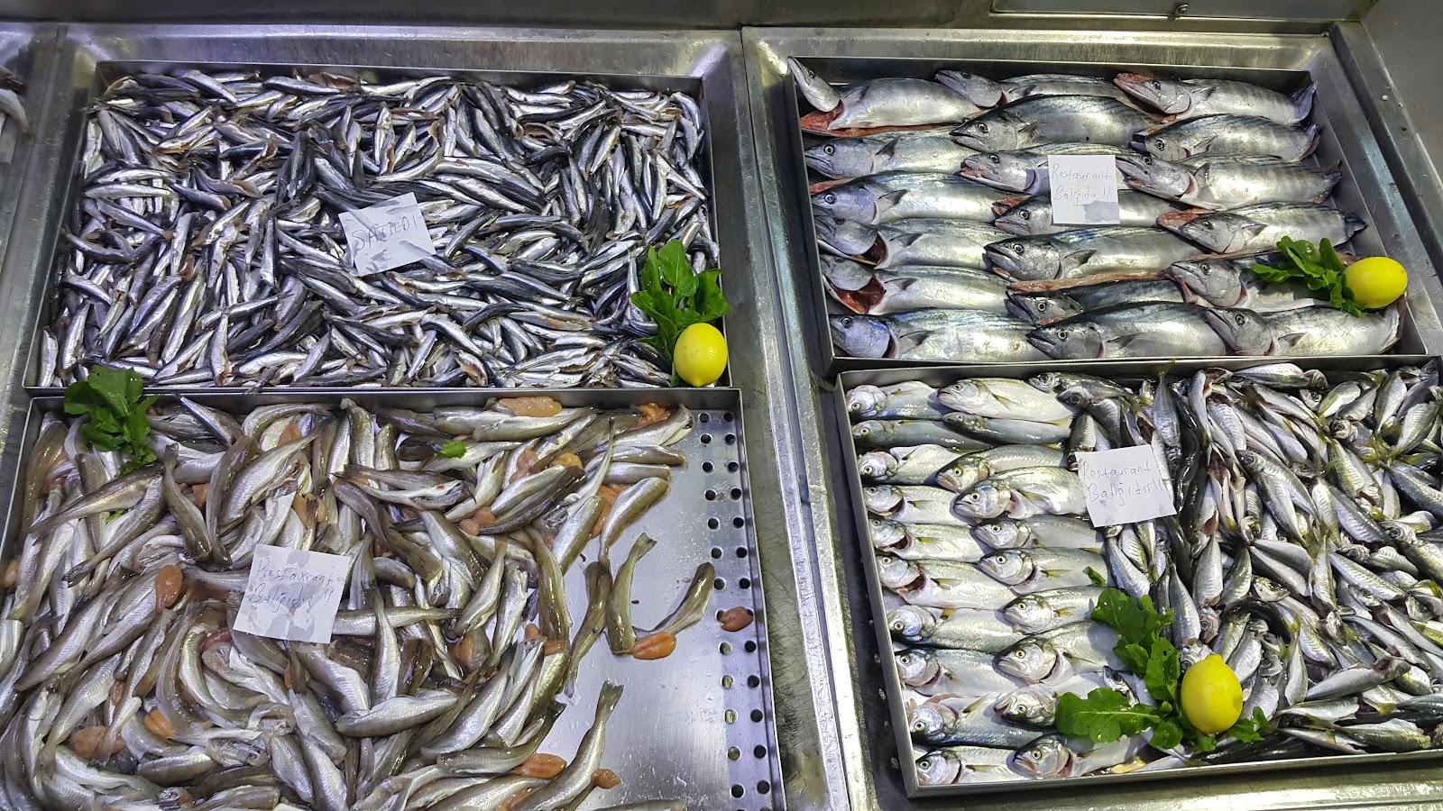 OKYANUS BALIKEVİ&MEVSİM BALIKÇILIK — fotoğraf 3