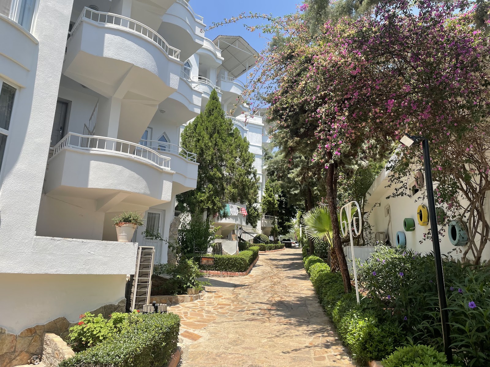 Olbios Marina Resort — fotoğraf 5