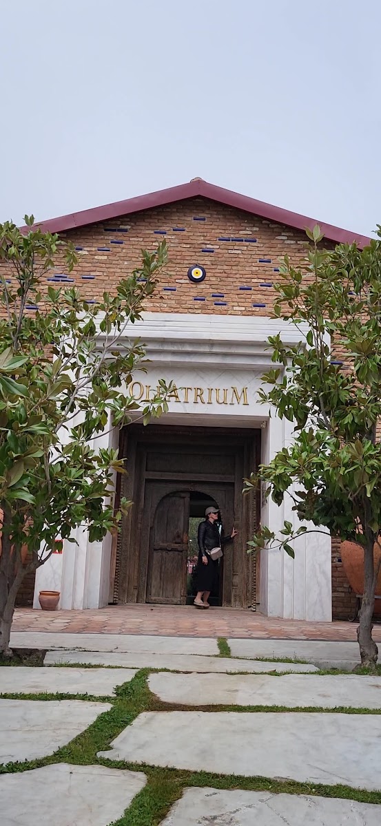 Oleatrium Zeytin ve Zeytinyağı Tarihi Müzesi — fotoğraf 2