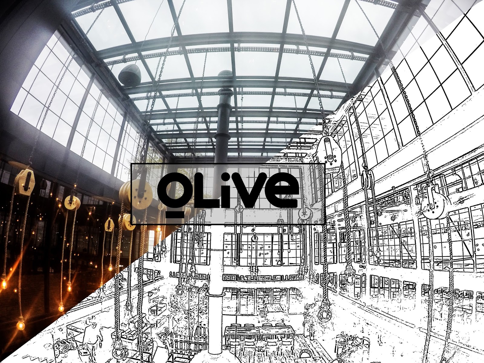 Olive Cafe & Restaurant — fotoğraf