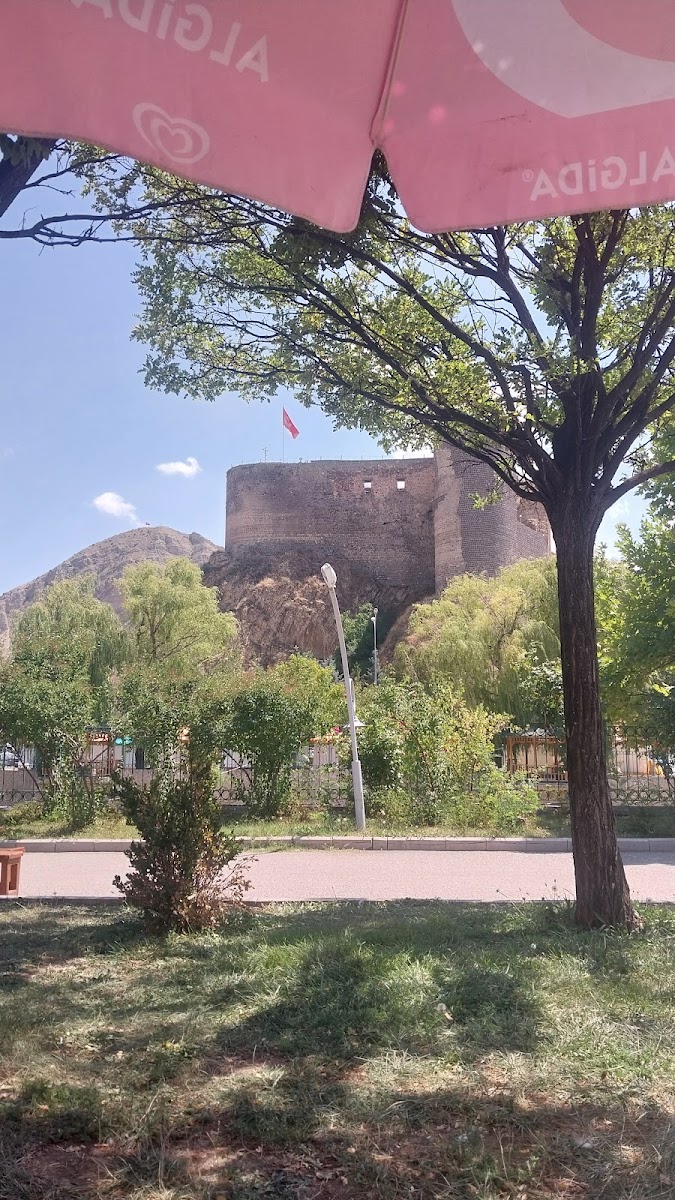 Oltu Kalesi — photo 3