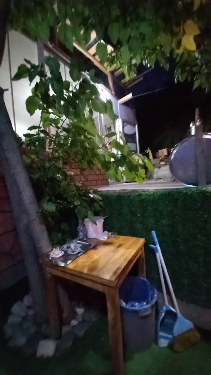Olursekiz Bilal usta cağ kebap — photo 4