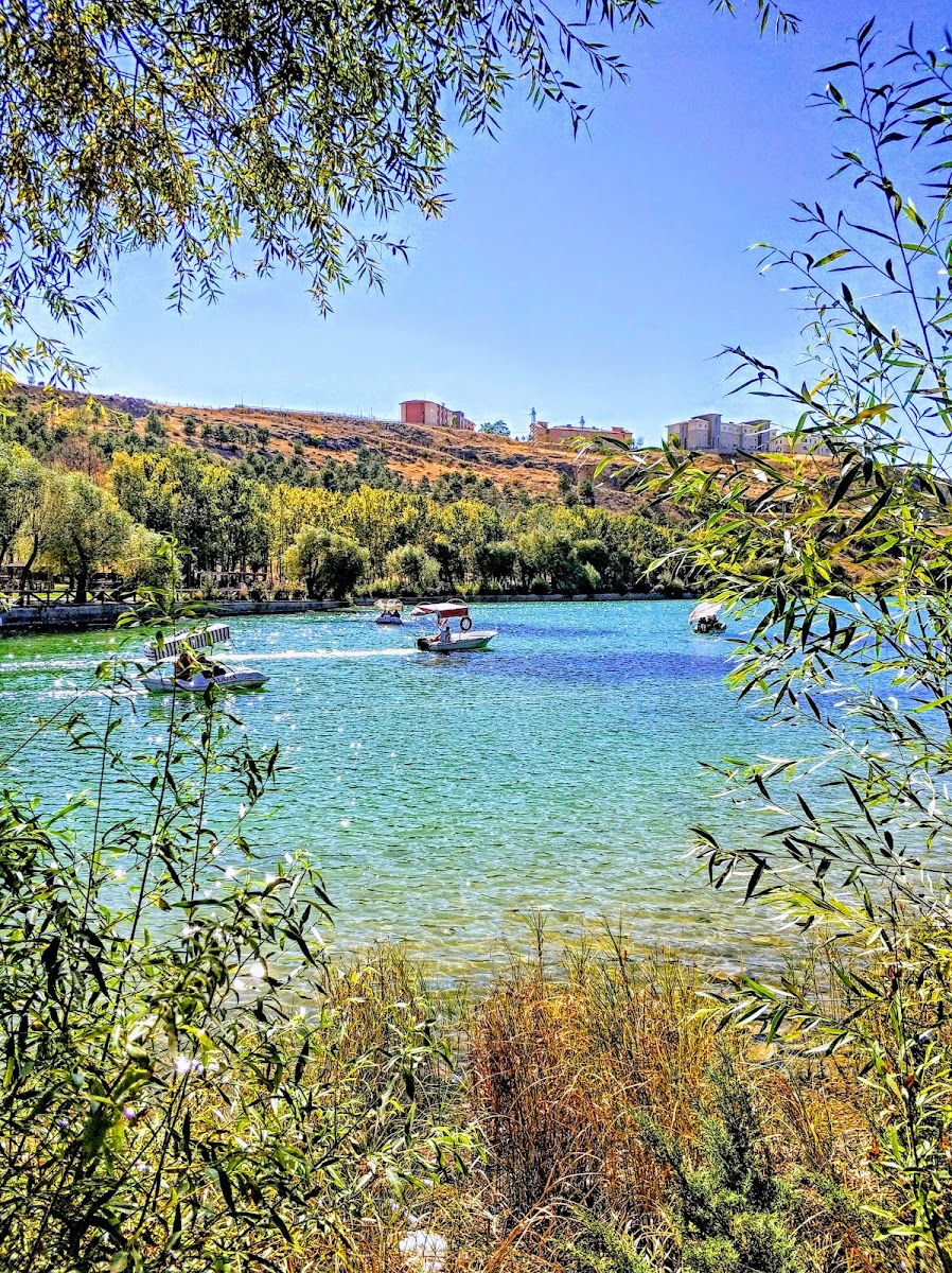 Ordüzü Göleti — fotoğraf