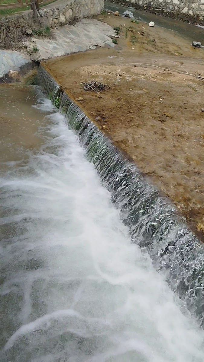 Ordüzü Göleti — fotoğraf 2