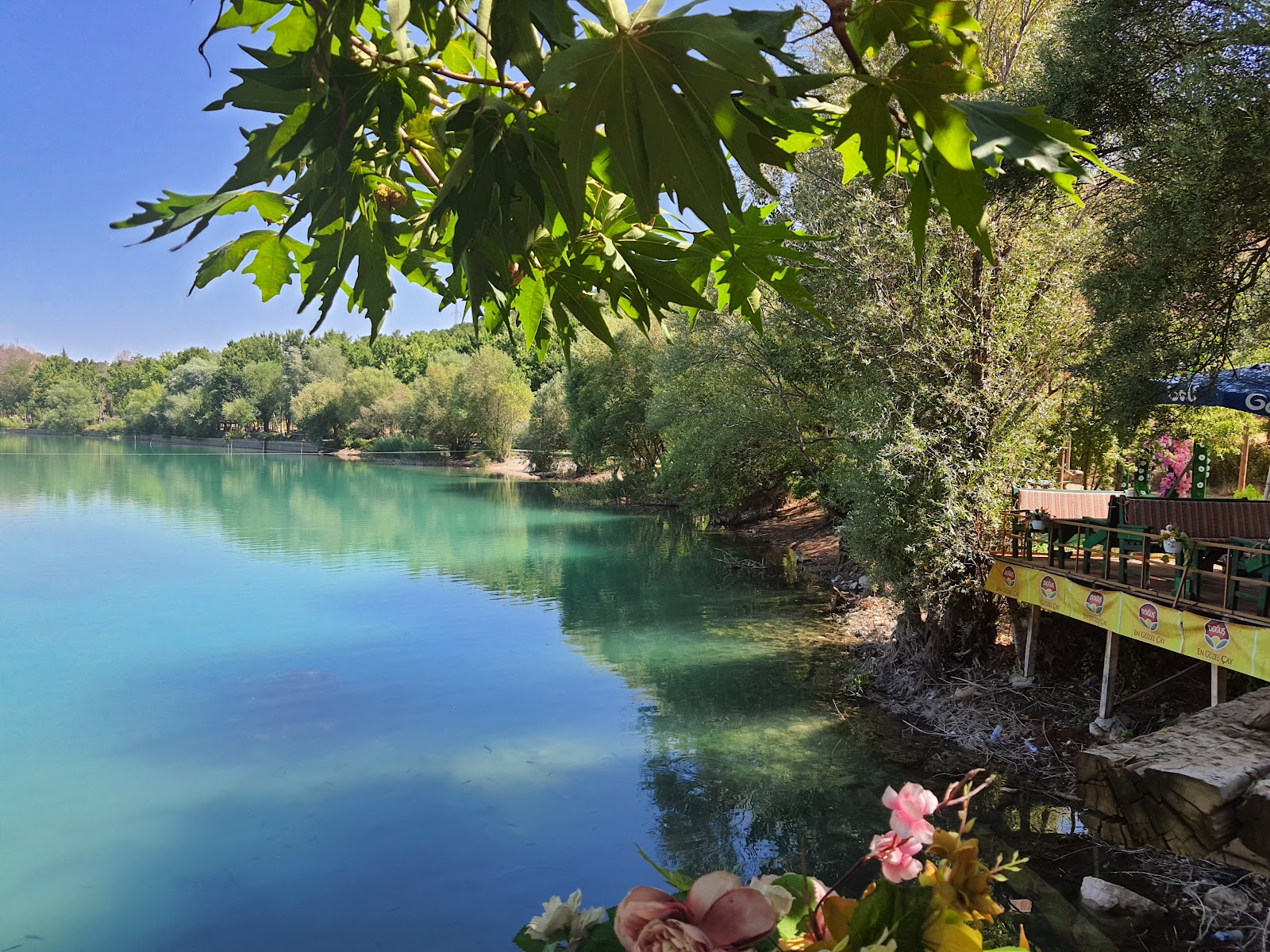 Orduzu piknik alani — fotoğraf 1