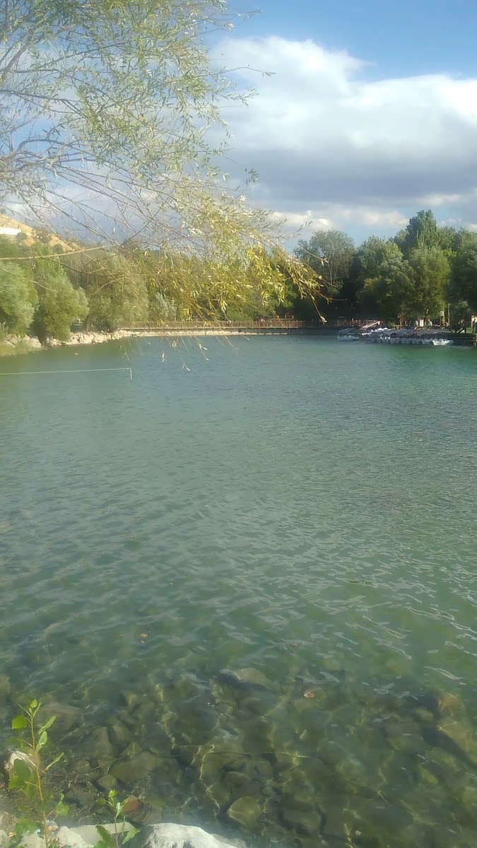 Orduzu piknik alani — fotoğraf 3