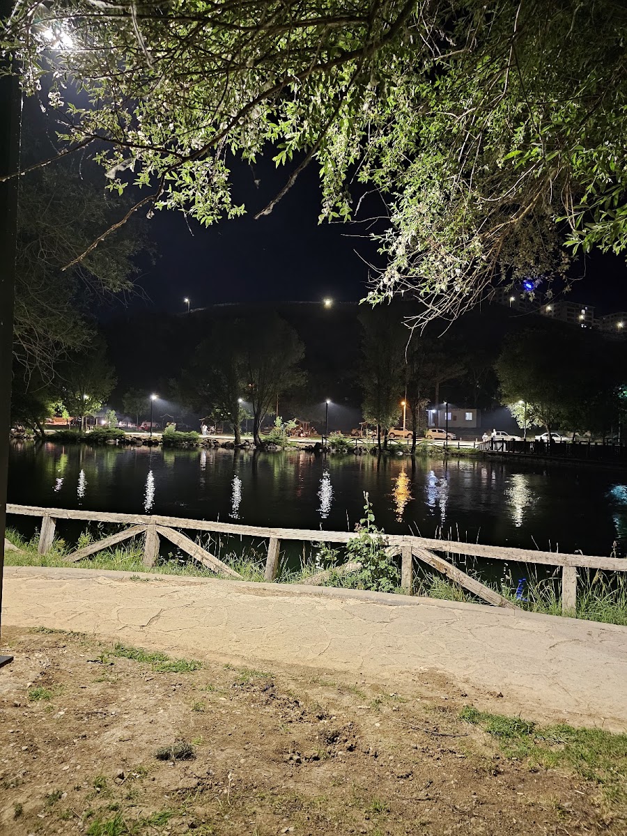 Turgut Özal Tabiat Parkı — fotoğraf 2