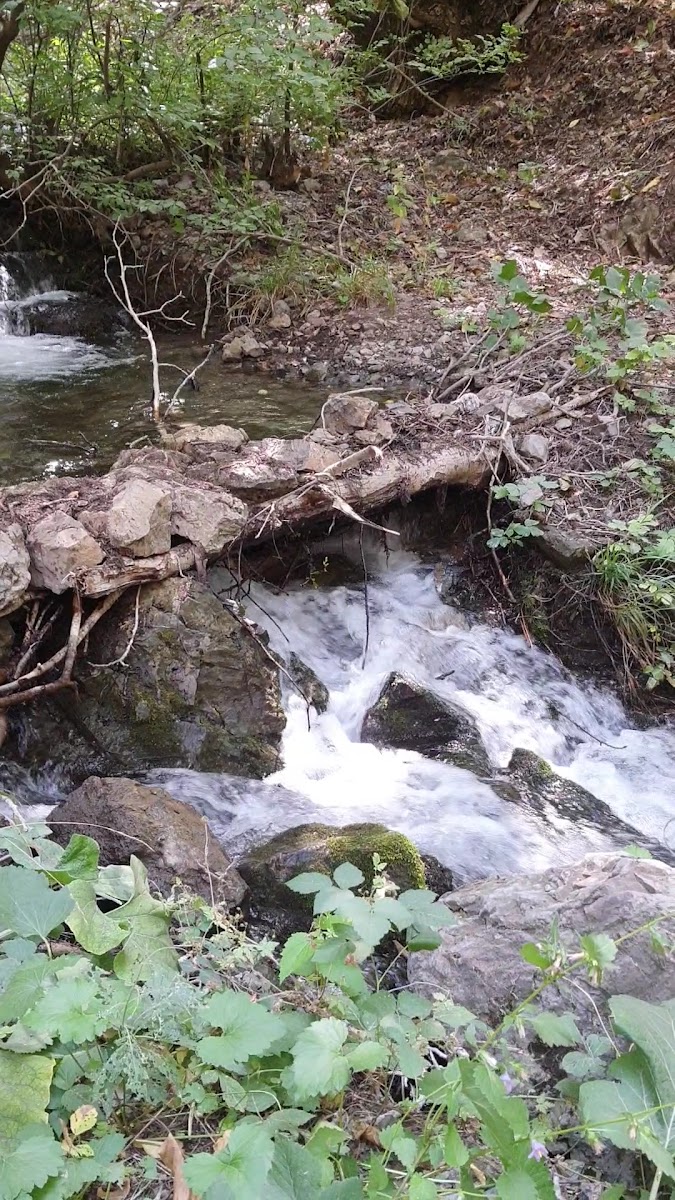 Ore şelalesi — fotoğraf 2