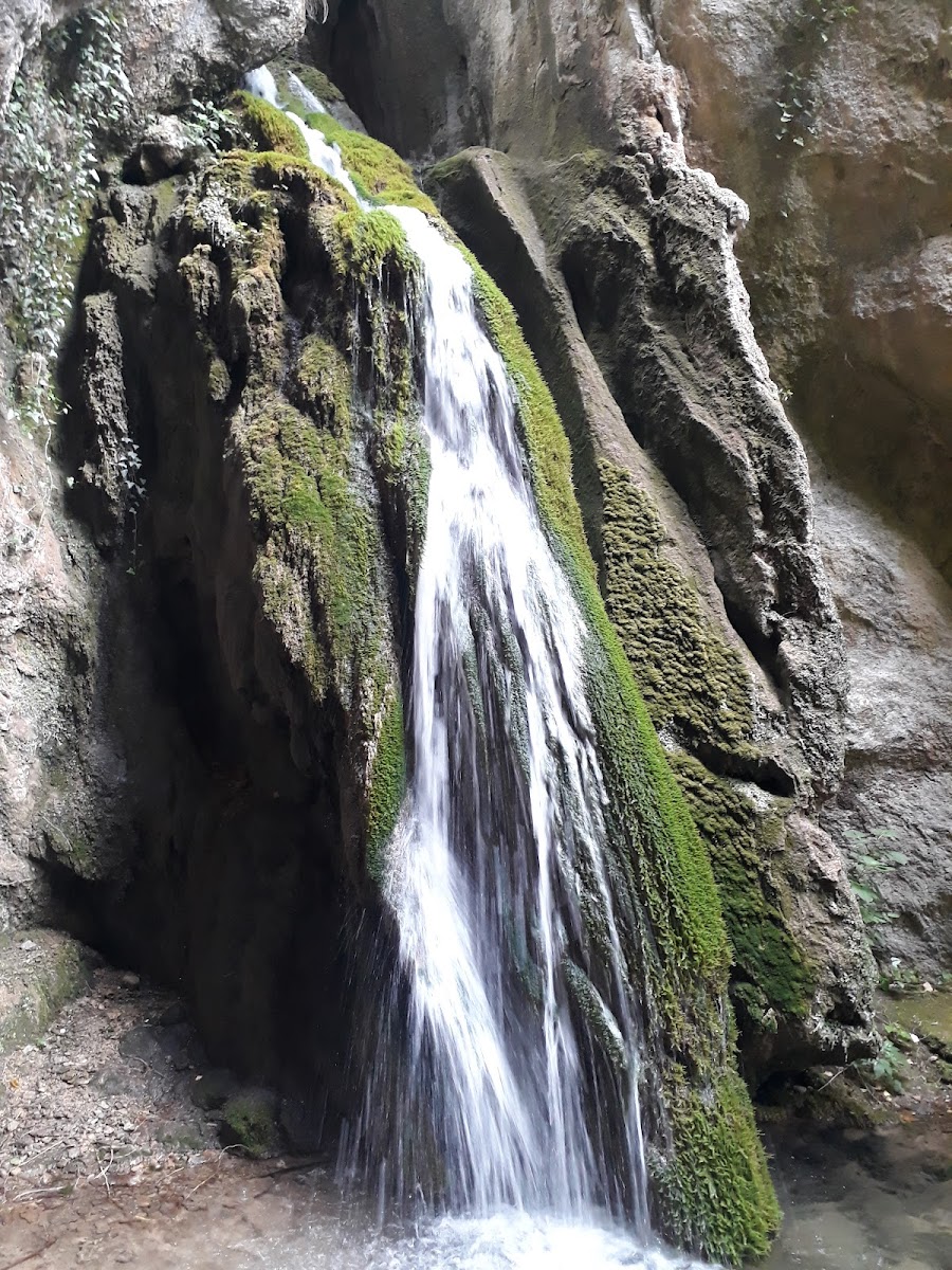 ÖRENCİK ŞELALESİ — fotoğraf 1