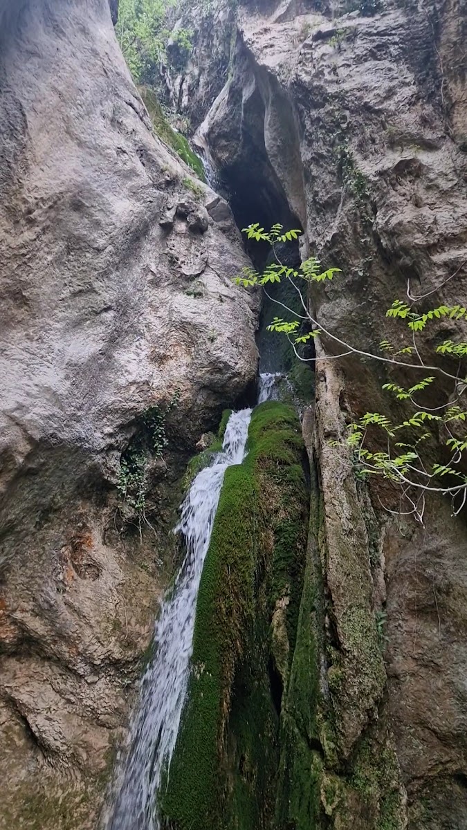 ÖRENCİK ŞELALESİ — fotoğraf 3