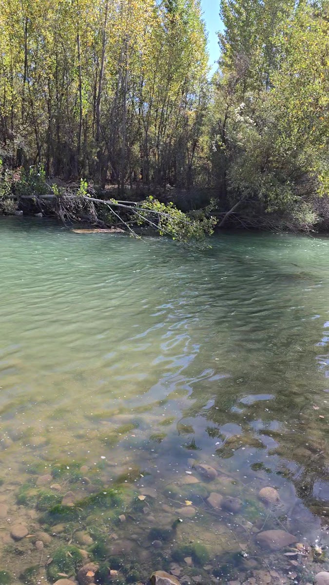 Örenönü Tabiat Parkı — fotoğraf 3