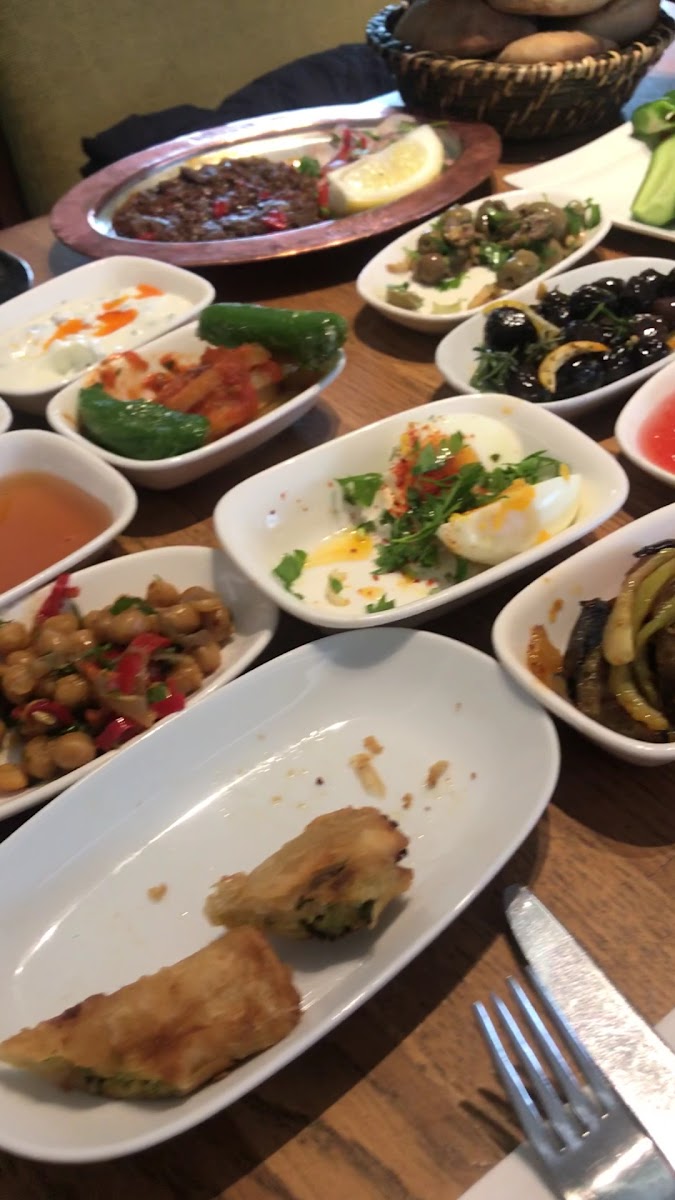 Orkide - Gazimuhtar Şubesi — fotoğraf 3