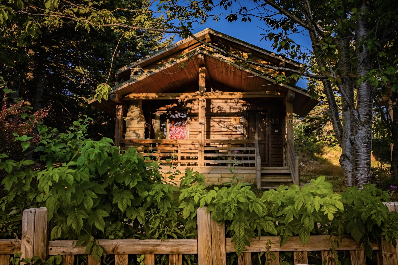 Orman Köşkleri — fotoğraf 1