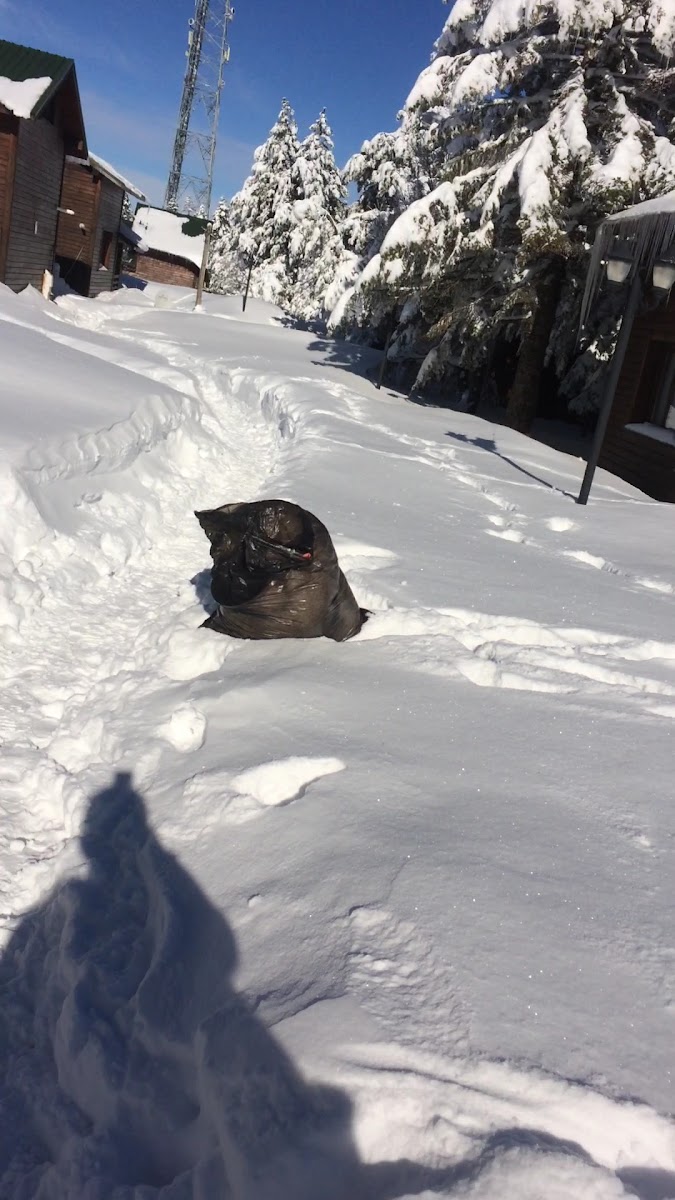 Orman Köşkleri — fotoğraf 3