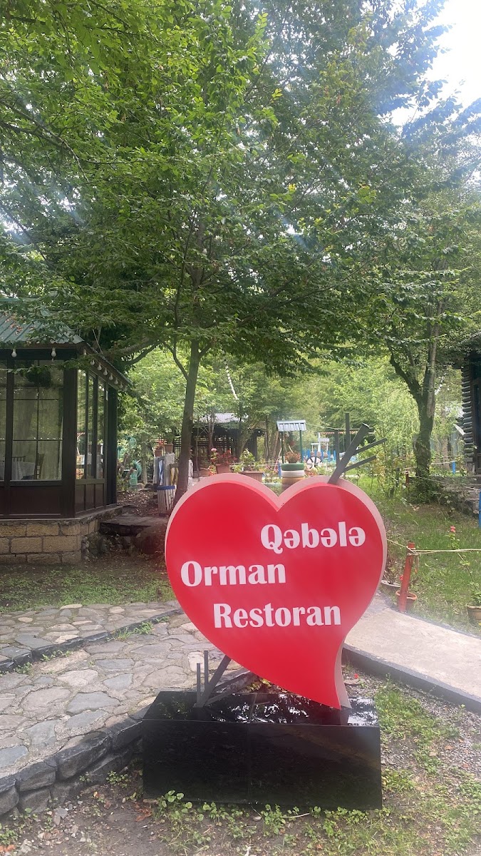 Orman Restoranı Qabala — photo 2