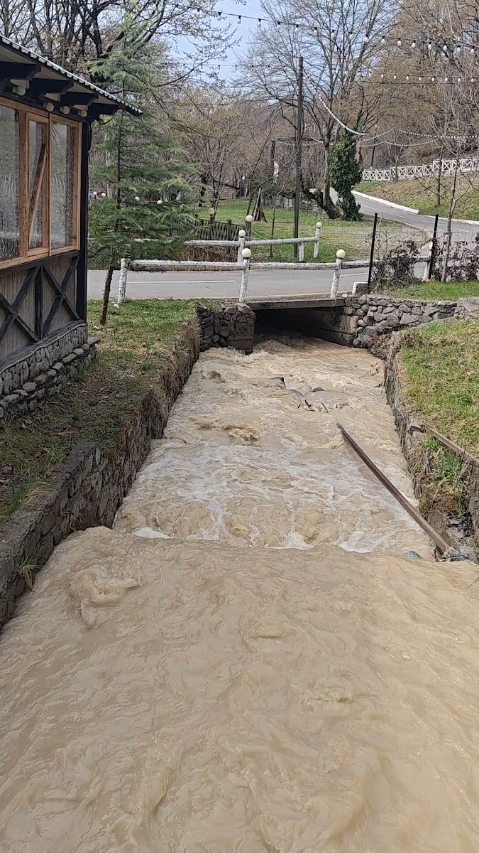 Orman Restoranı Qabala — photo 3