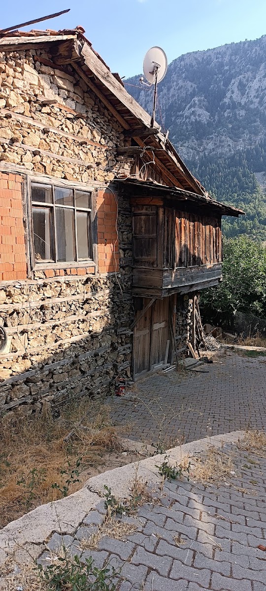 Ormana Düğmeli Evler — fotoğraf 2