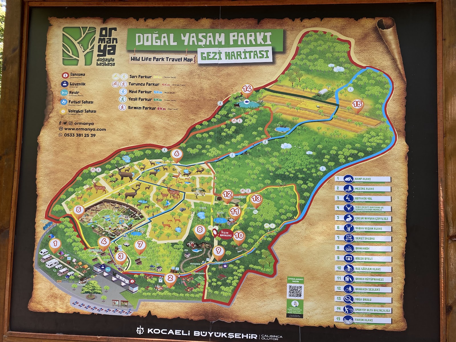 Ormanya Hobbit Evleri — fotoğraf 4
